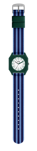 A day on Earth Watch
