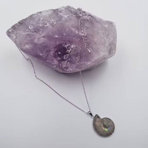 Ammonite Fossil Pendant