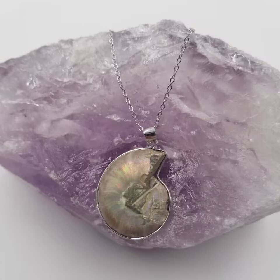 Ammonite Fossil Pendant